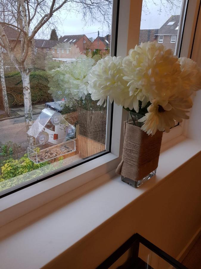Gardens - Private Double Richmond London - Homestay