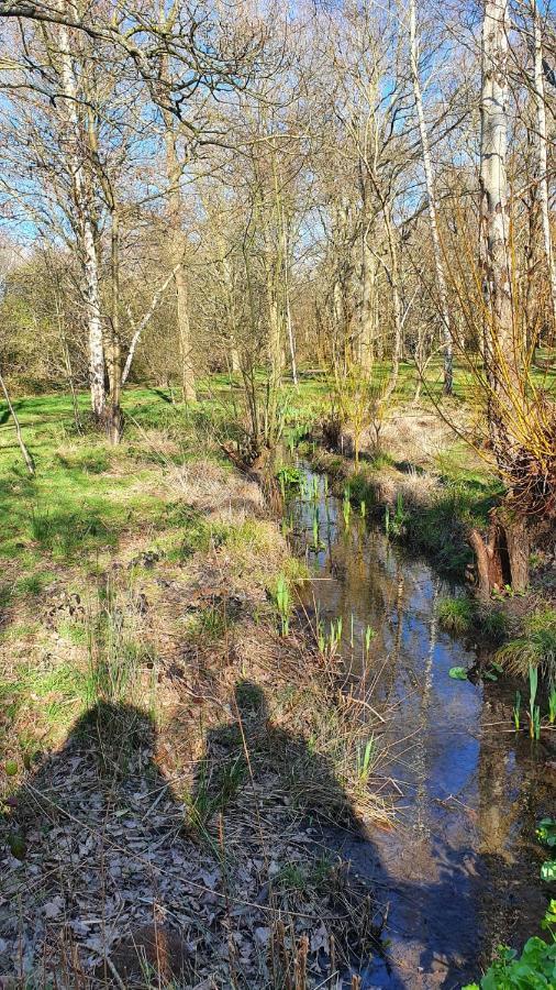 Gardens - Private Double Richmond London - Kew