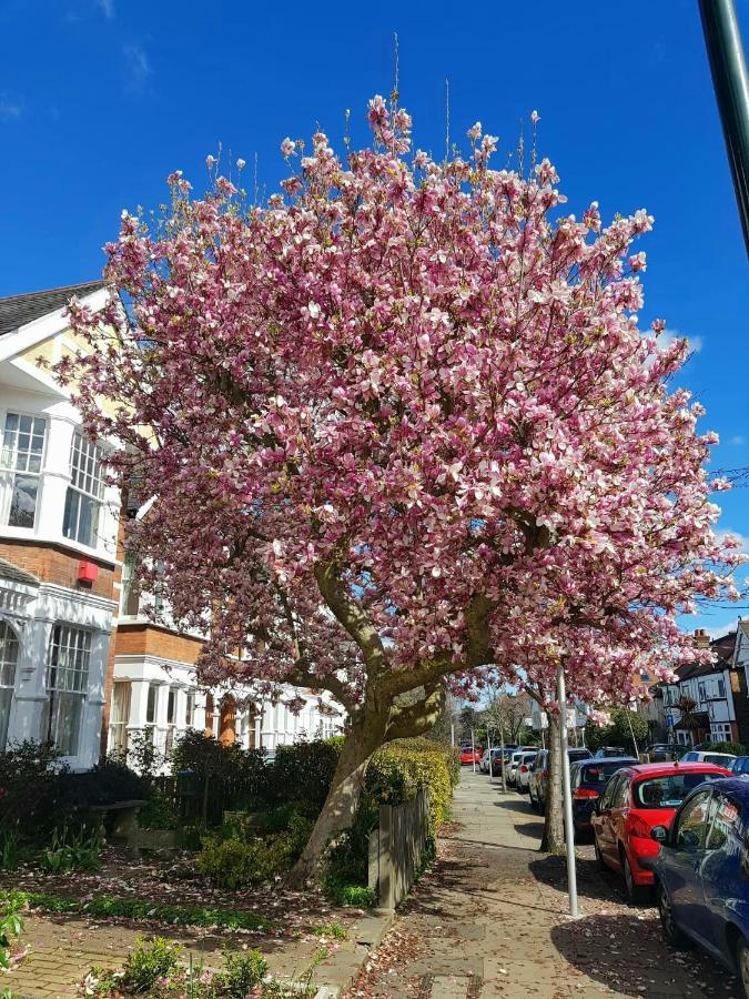 Gardens - Private Double Richmond London - Homestay