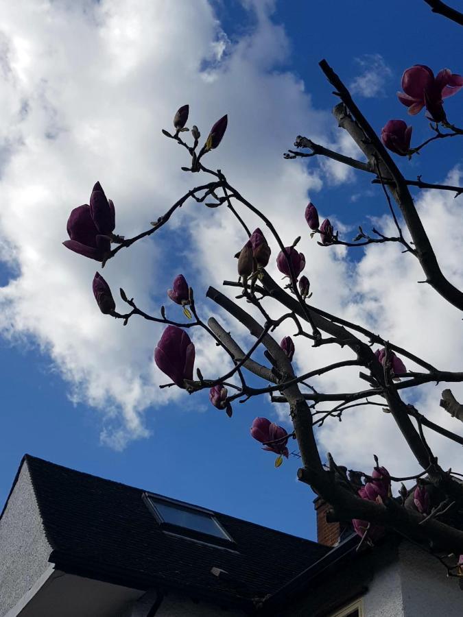 Gardens - Private Double Richmond London - *